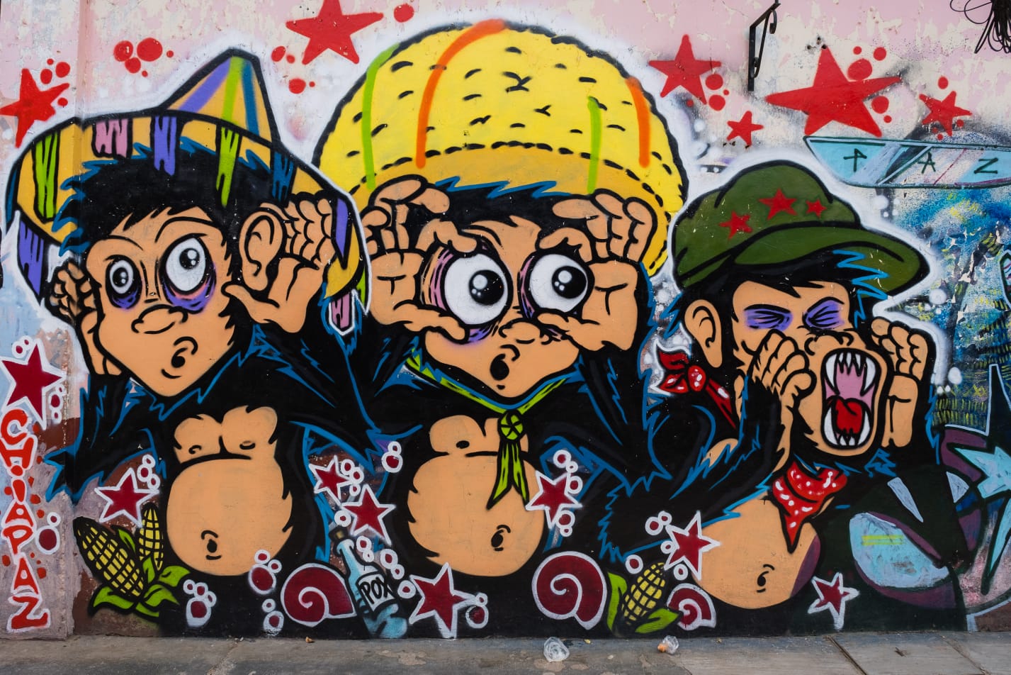 Tour graffiti and culture San Cris