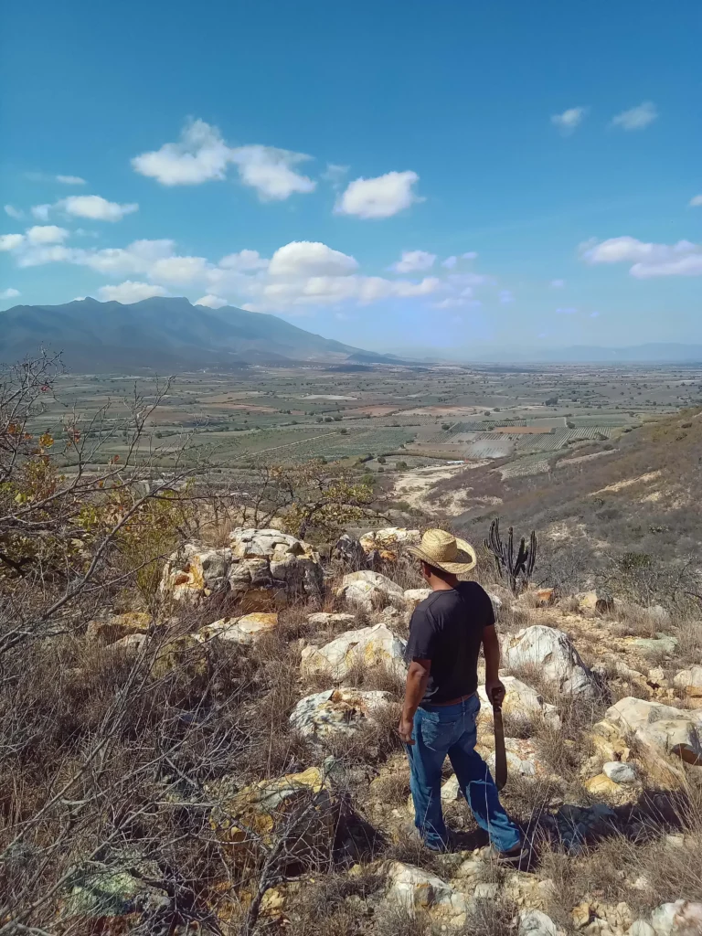 Mezcal and hiking tour Oaxaca (11)