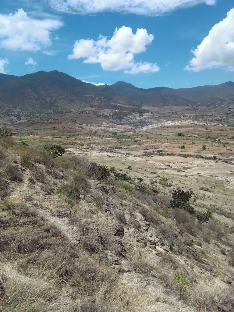 Hills and agriculture near Oaxaca, Mexico
