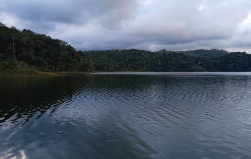 Lake Lacandon jungle