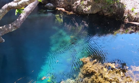 Snorkling cenote Chucumaltic - Cultura Distinta - Things to do in San Cristobal Snorkling tour Chucumaltic Cenote